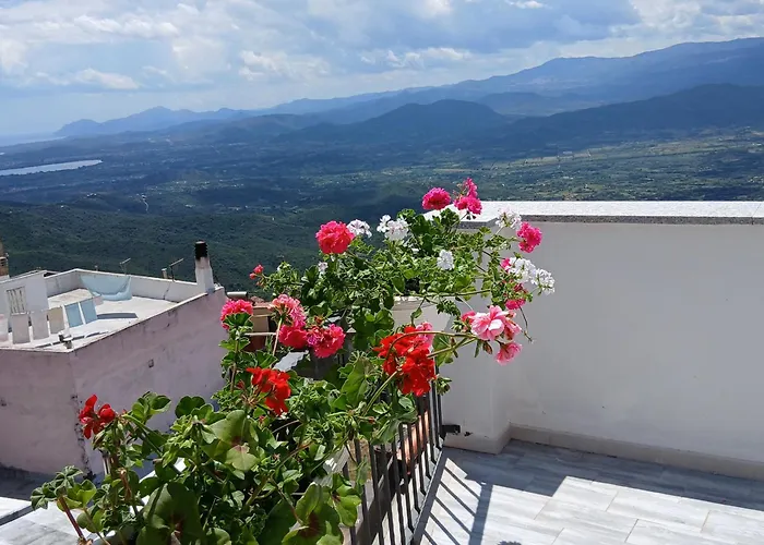 ゲストハウス Monte Longu