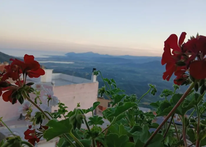 Monte Longu Πανσιόν Baunei